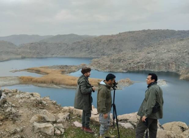 زندی:آغاز سرشماری زمستانه پستانداران در زیستگاه‌های کردستان