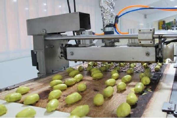 افزایش ظرفیت تولید واحدهای صنایع تبدیلی و غذایی در استان بوشهر