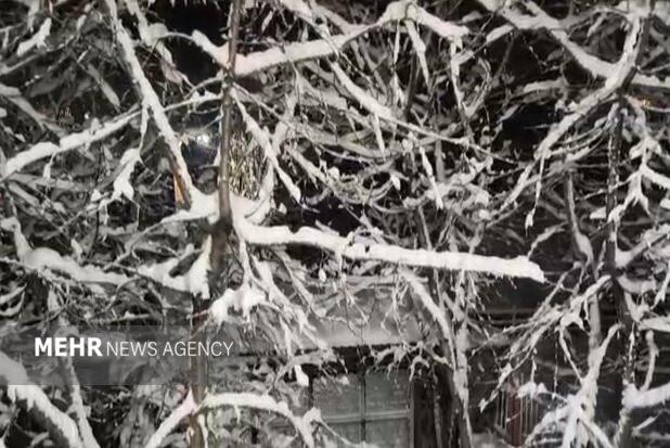 شمال و شرق تهران سفیدپوش شد