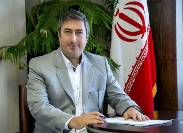 درخشش شناگران بزرگسال همدان در جام پاسداشت استاد طالبی