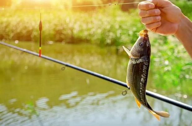 آغاز صدور پروانه صید ماهی با قلاب در  همدان