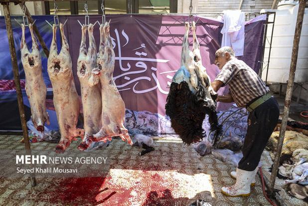 پویش نذر قربانی با امکان مشارکت عمومی در گلستان آغاز شد