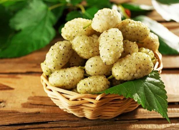 با این میوه افسردگی را دور کنید؛ توت سفید، معجزه طبیعت برای آرامش ذهن