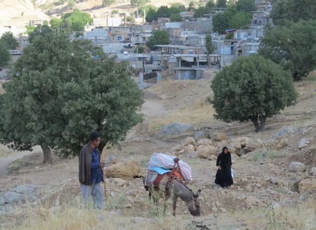 راه‌یابی مستندسازان چهارمحال و بختیاری به بخش مسابقه ملی سینماحقیقت
