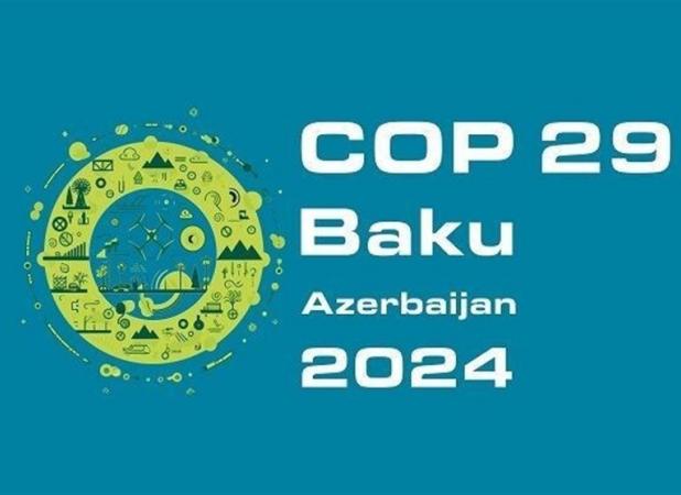 پیشنهاد تغییر نماینده ایران در اجلاس کاپ ۲۹ باکو