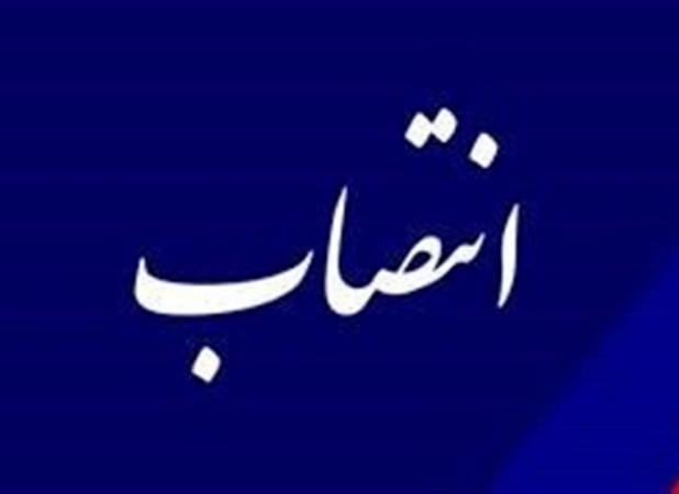 «مهدی جمالی» سرپرست دبیرخانه هیأت مرکزی گزینش وزارت کار شد