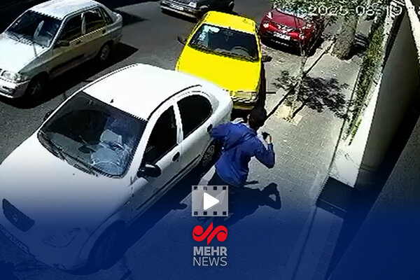 سارق حرفه‌ای لوازم داخل خودرو را شناسایی کنید