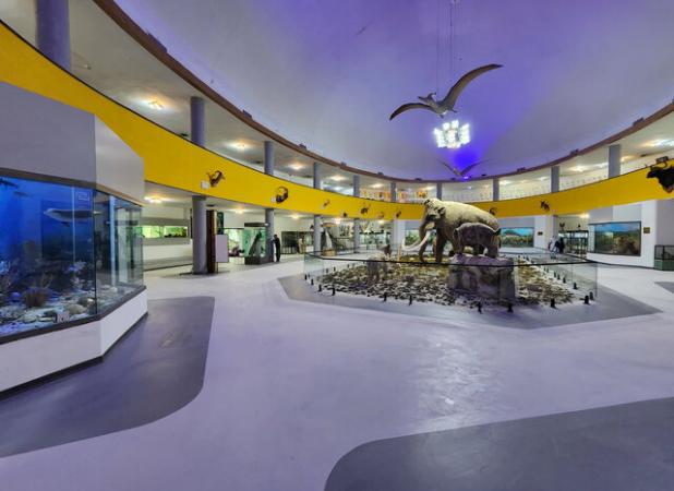 غنی‌ترشدن گنجینه زمین‌شناسی موزه تاریخ‌ طبیعی دانشگاه شیراز