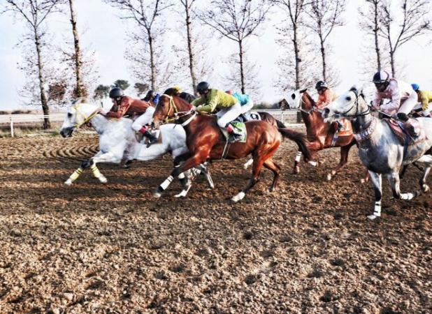 فینال روز دوم کورس گنبدکاووس با جوایز ۳۰ میلیاردی