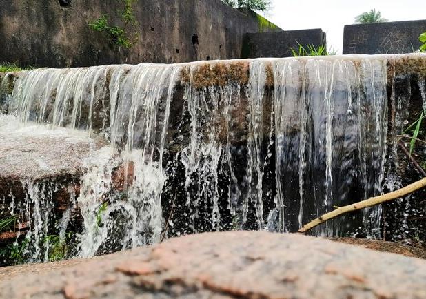 راهکارهای مبتنی بر طبیعت در مدیریت آب