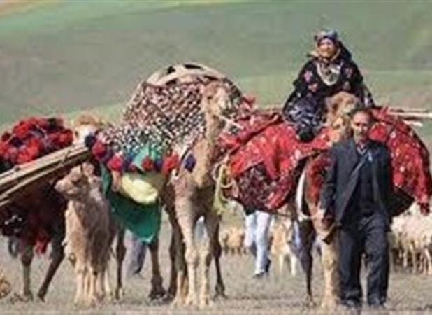 جاده چالوس به دلیل کوچ فصلی عشایر یک روز بسته می‌شود
