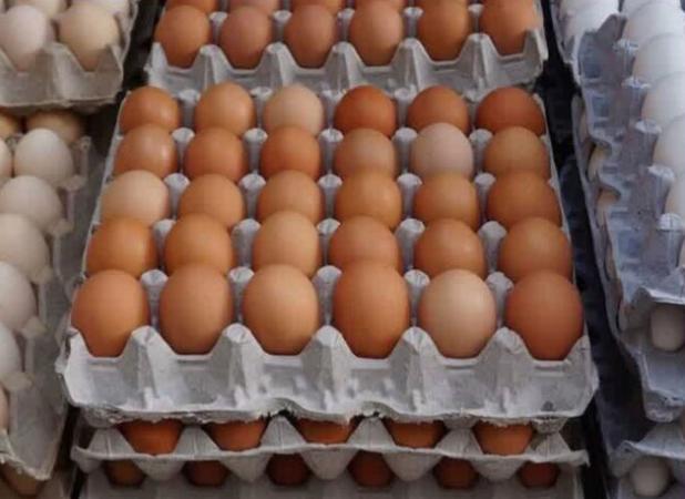 کشف بیش از ۲ تن تخم مرغ فاقد مجوز در الیگودرز