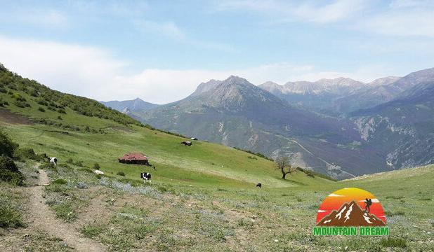 اقدام قاطع منابع طبیعی سوادکوه علیه تصرف اراضی ملی در مرتع اونسیه