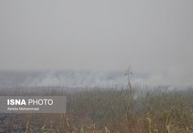 لزوم در اولویت قرار گرفتن وضعیت آتش‌سوزی تالاب هورالعظیم در دولت