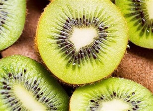 صادرات کیوی از ابتدای مهر آزاد شد