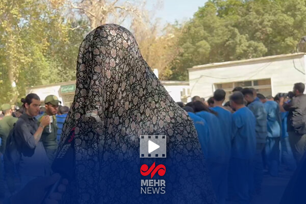 دستگیری سارق زن گوشواره‌های کودکان در امامزاده صالح (ع)