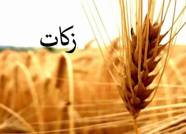 کردستانی‌ها ۸۱ میلیارد تومان زکات پرداخت کردند