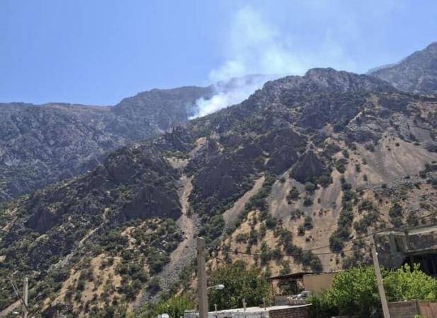 آتش‌سوزی گسترده در منطقه آبشاران با تلاش نیروهای محیط‌زیست مهار شد