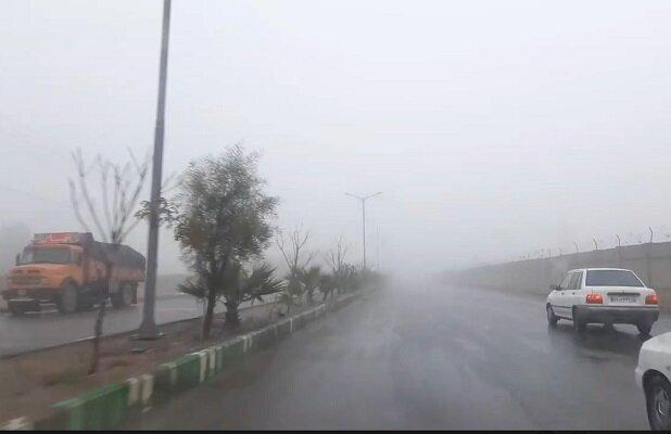 هشدار مه صبحگاهی در محورهای استان بوشهر