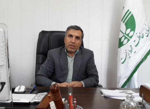 وجود یک‌هزار گونه گیاهی در استان ایلام