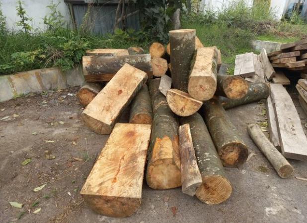کشف چوب قاچاق در آمل/ قاچاقچیان چوب متواری شدند