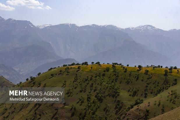 برگشت حاصلخیزی خاک زاگرس  به ۵۰ درصد درآمد نفتی نیاز دارد