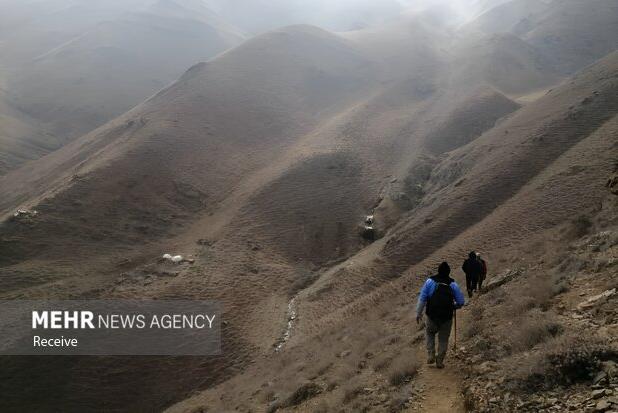 محمدی: آتش دوباره در منطقه الیت شعله ور شده است