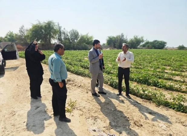 اعلام جرم دادستانی کنگان علیه ۳ نفر به علت تهدید بهداشت عمومی