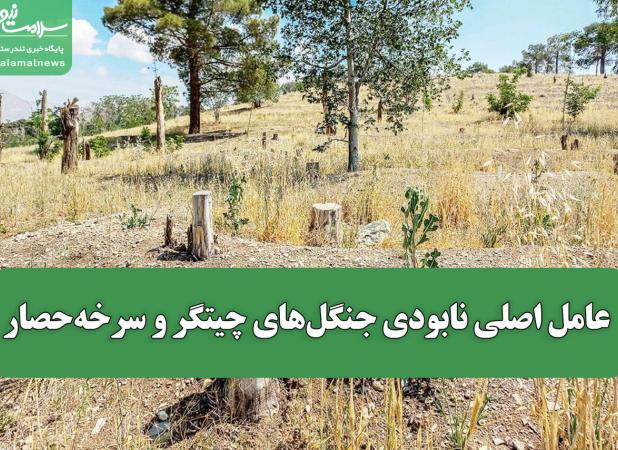 عامل اصلی نابودی جنگل‌های چیتگر و سرخه‌حصار