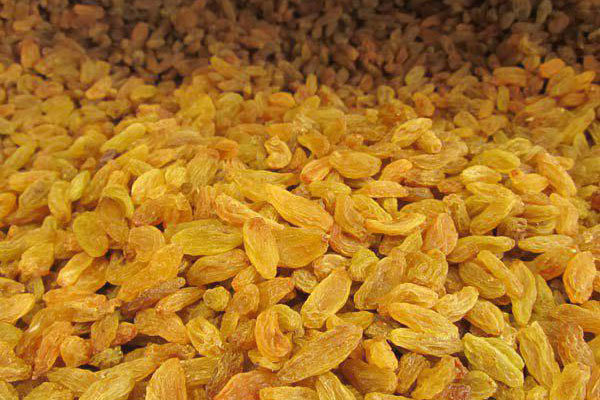 کرامتی: ترکیه صادارت کشمش زنجان را تحت تأثیر قرار داده است