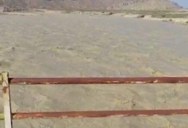 طغیان رودخانه باغان در دشتی