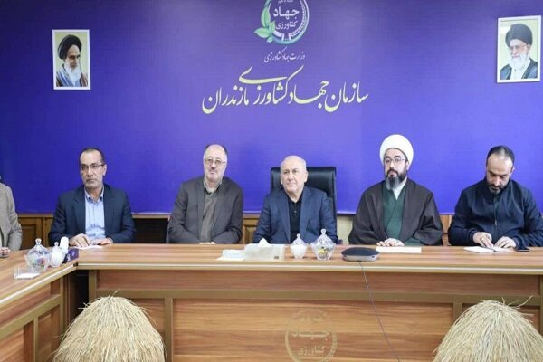 بومی‌سازی صنعت بذر شرط جهش کشاورزی مازندران است، نه به خام فروشی