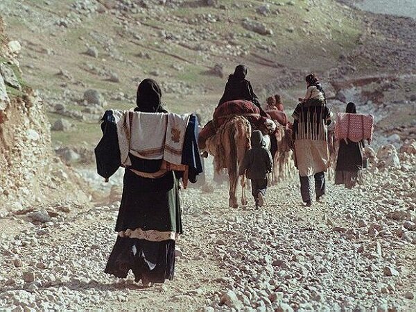 یاسمی:بهسازی ۱۳۰۰ کیلومتر از راه های قشلاقی ایلام آغاز شد