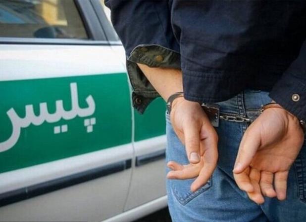 باند سارقان سیم مخابرات در دشتستان منهدم شد