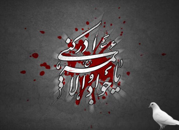 امام جواد (ع) علم‌دار جهاد تبیین و الگوی عمل در عصر ریاکاری