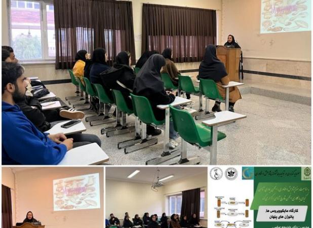 افق‌های جدید در کشاورزی با «تفنگ ژنی» و رویکردهای بیوسیستمیک