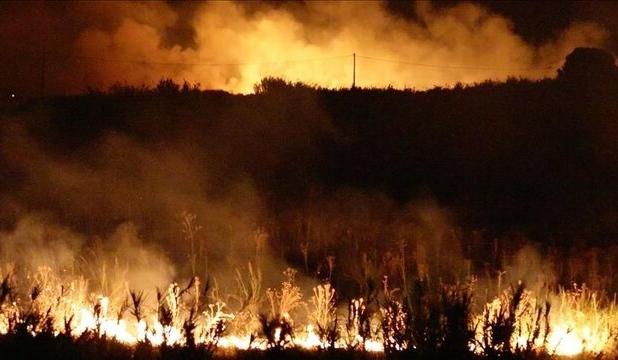 آتش، طبیعت و جرقه انسانی؛ چرخه تکرارشونده آتش‌سوزی جنگل‌ها از زاگرس تا ارسباران