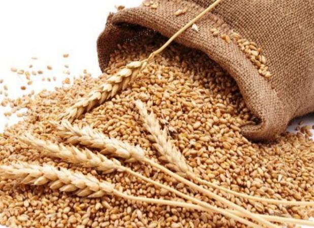 ۱۲۰۰ روستای مازندران از شورای زکات برخوردار هستند