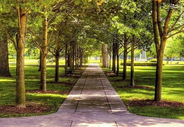 احداث سه پارک جدید در بجنورد؛ گامی در توسعه فضای سبز شهری بجنورد