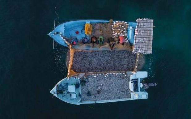 صید شب‌چراغی از مخرب‌ترین روش‌های صید در آب‌های جنوب کشور ‌