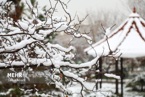 هوای مشهد پاک و برفی است