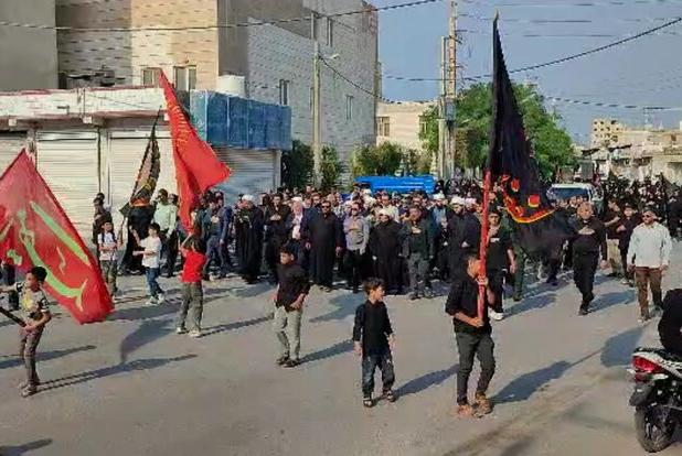 پیاده‌ روی و اجتماع عزاداران فاطمی در عسلویه