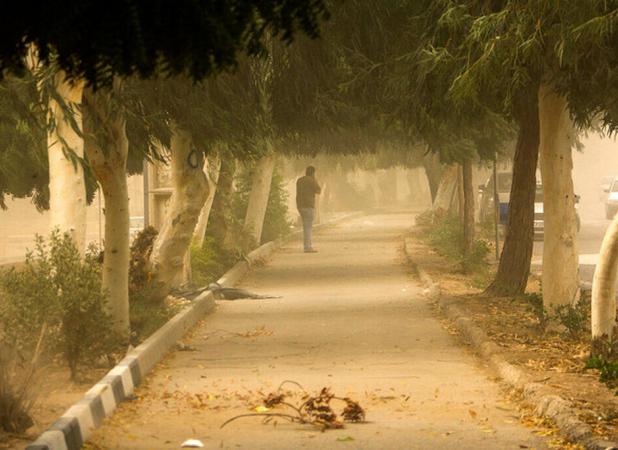 هشدار کاهش دما و وزش باد در شرق کشور / گردوخاک در راه است