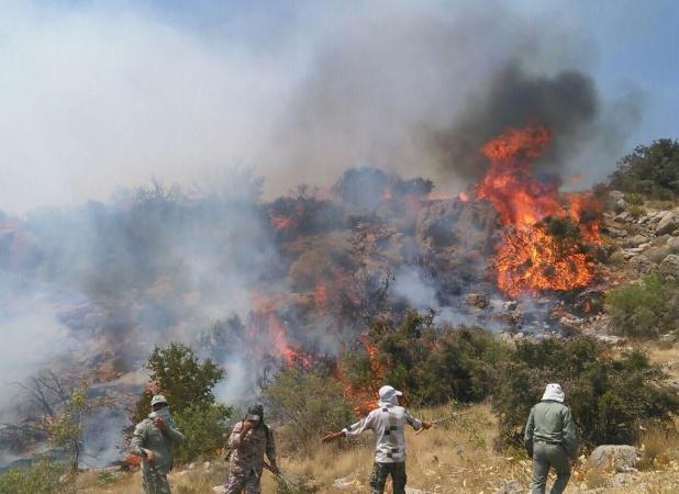 عامل آتش‌سوزی جنگل‌های هیرکانی پیدا شد!
