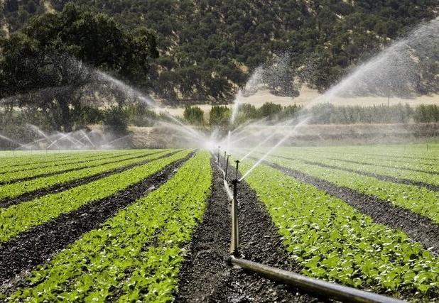 نگاه جزیره‌ای به آب؛ چالشی در مسیر بهبود شاخص بهره‌وری آب خراسان رضوی