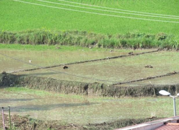 خسارت سیلاب به ۱۰۰ سردهنه کشاورزی در مازندران