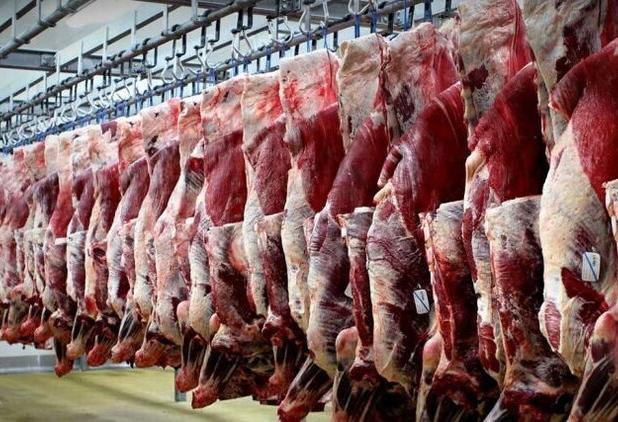 کشتارگاه صنعتی دام ایلام نیمه اول تیرماه شروع به فعالیت می‌کند