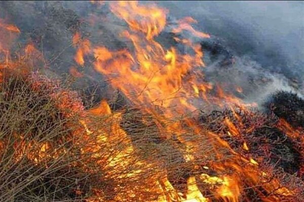 آتش‌سوزی ۶ هزار مترمربعی در جنگل‌های کشل‌ورزل مهار شد