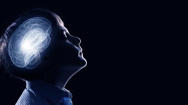نقش نابرابری اقتصادی در تغییرات ساختاری مغز