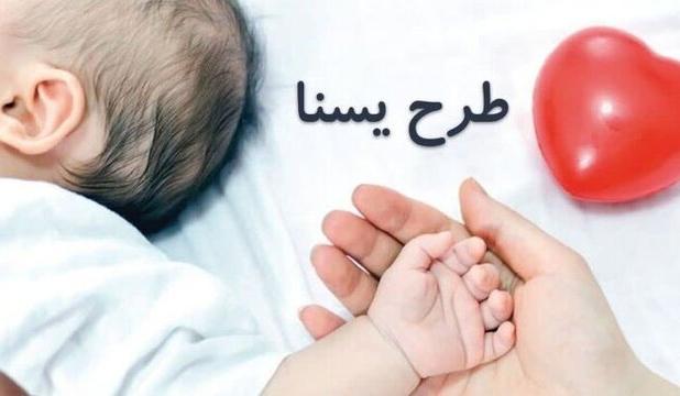 واریز یارانه حمایتی در مرحله دوم طرح ملی «یسنا»